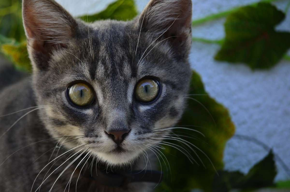 ����� ����� ����� � �� PhotoGeek.ru #�������� ���