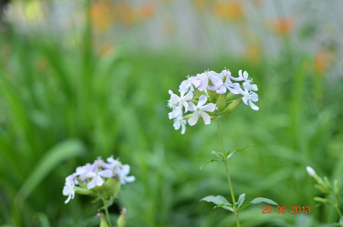 ... ����� ����� � �� PhotoGeek.ru #������ ��� �������