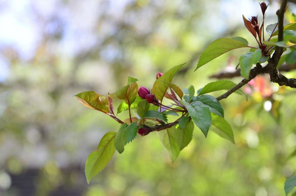 ... ����� ����� � �� PhotoGeek.ru #������ ��� �������