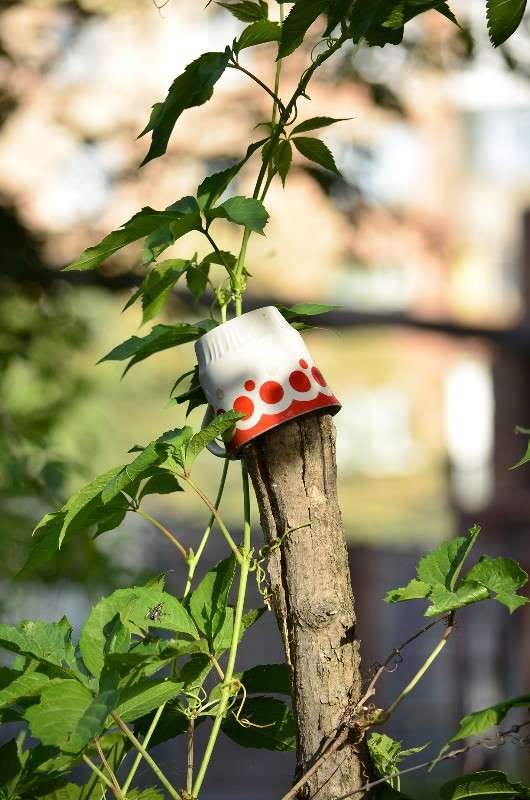 ... ����� ����� � �� PhotoGeek.ru #������ ��� �������