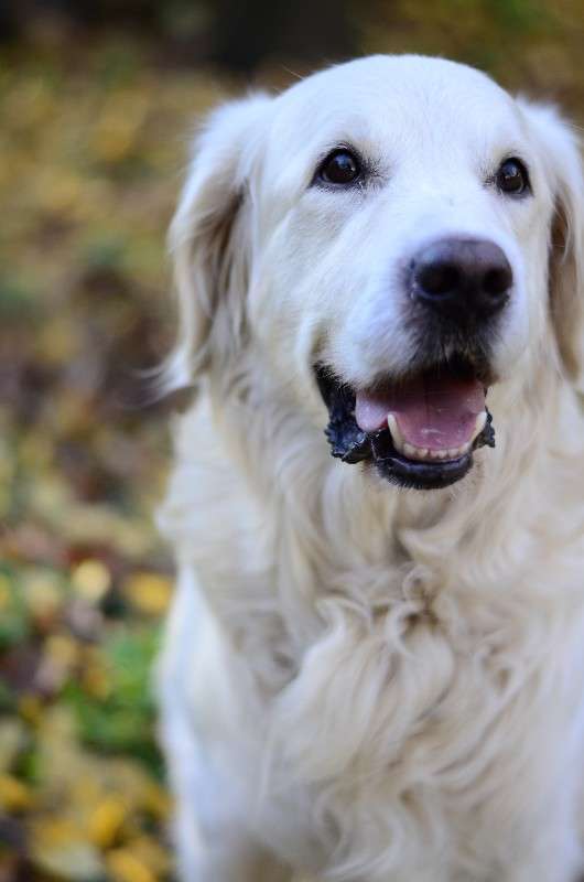 ����� ����� ����� � �� PhotoGeek.ru #�������� ���