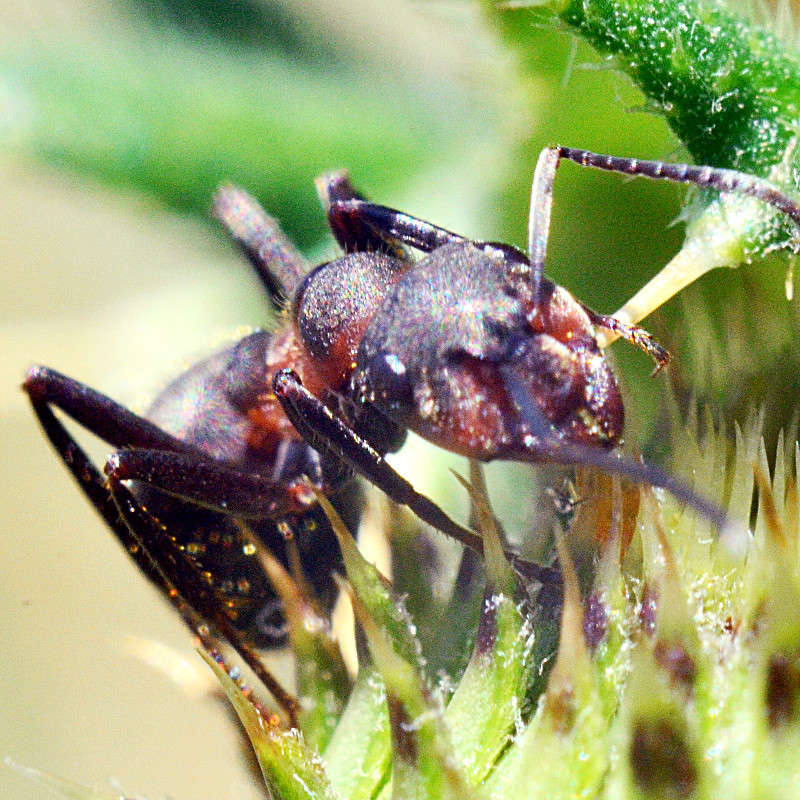 ... ����� ����� � �� PhotoGeek.ru #�����