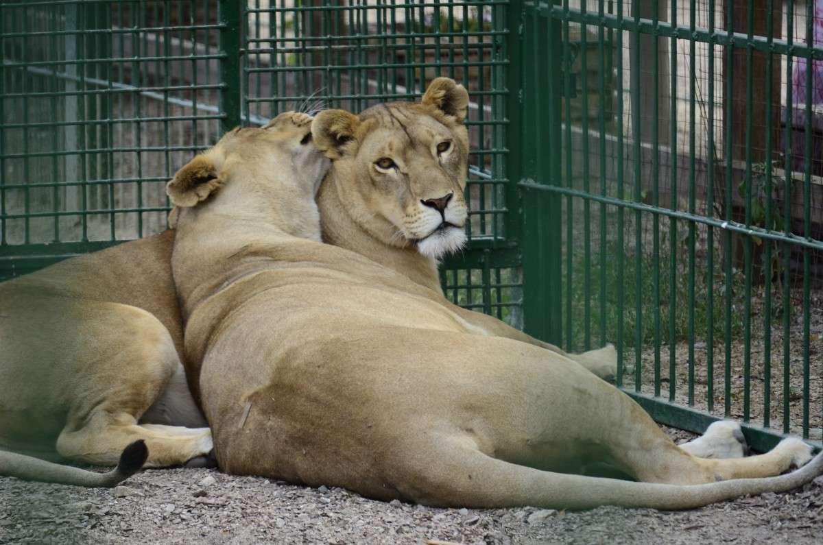 ... ����� ����� � �� PhotoGeek.ru #�������� ���