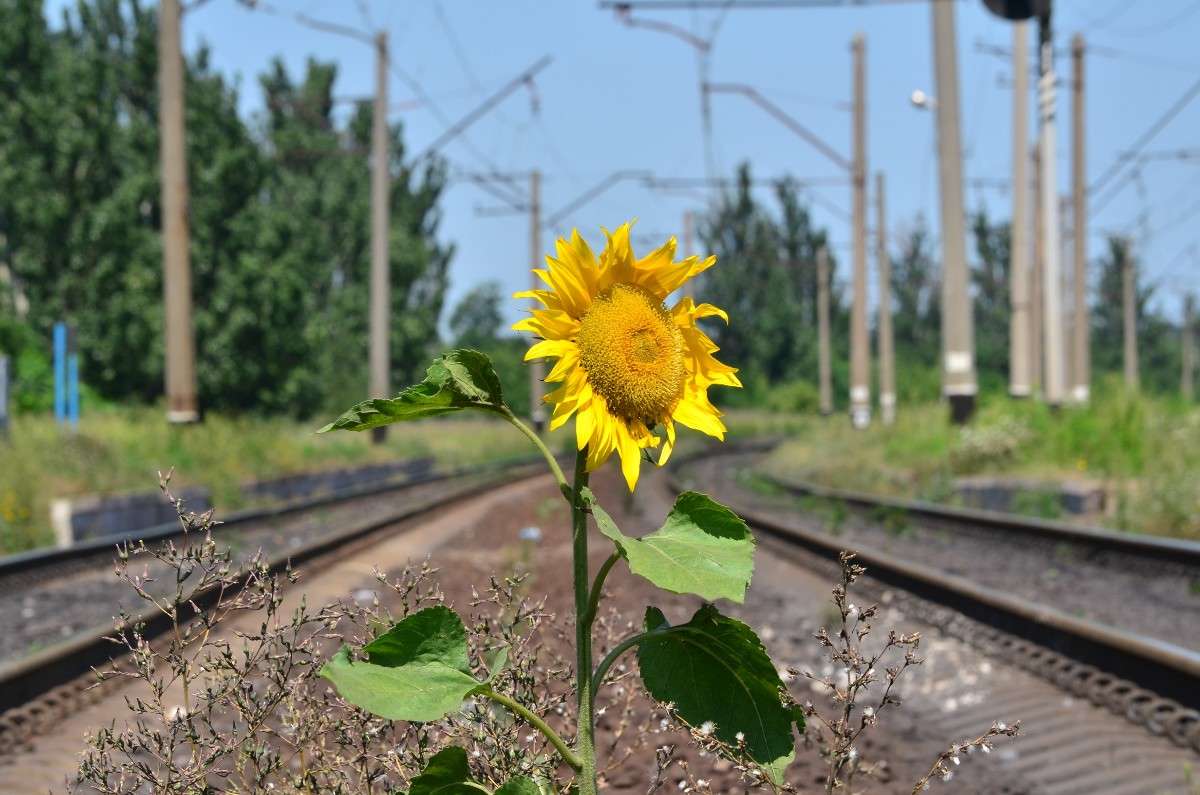 ... ����� ����� � �� PhotoGeek.ru #������ ��� �������