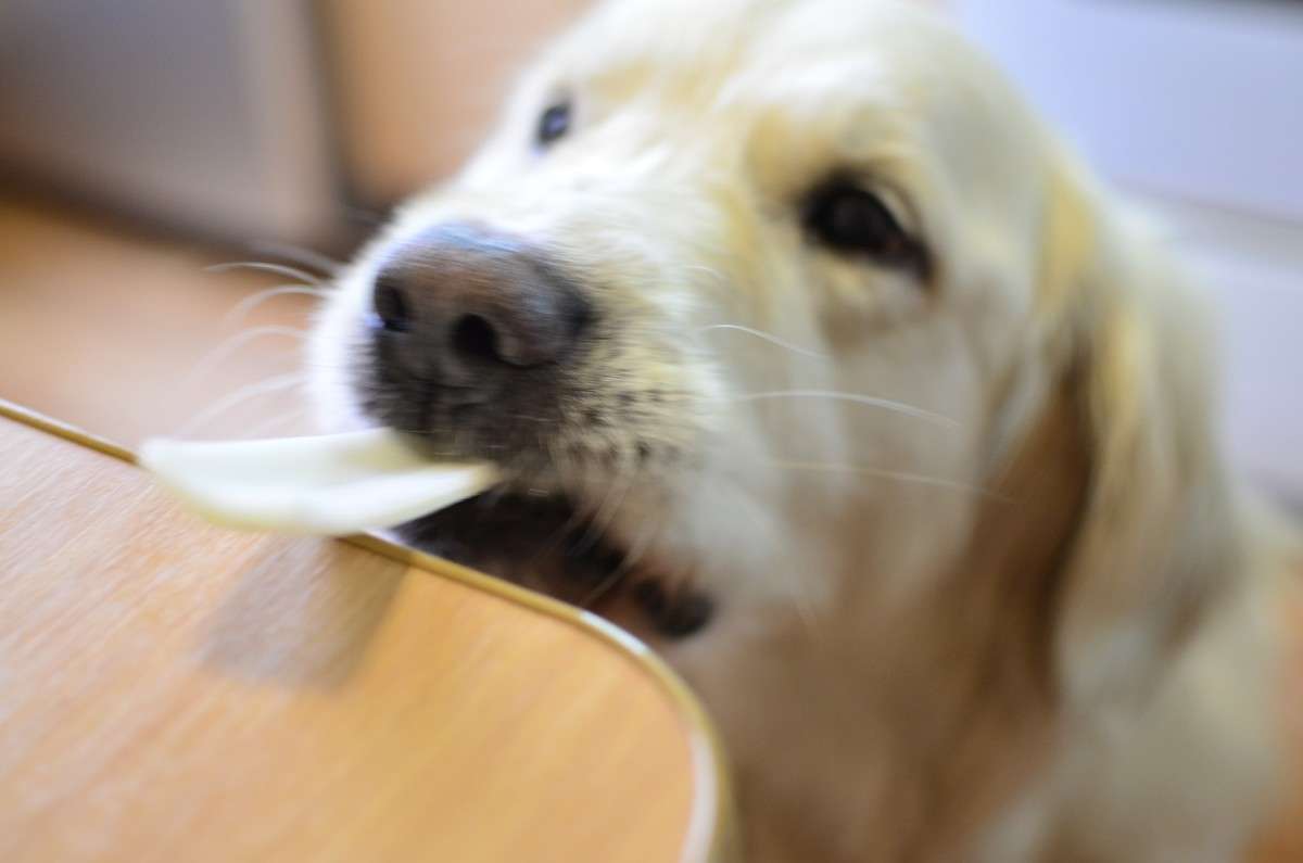 ... ������� ... ����� ����� � �� PhotoGeek.ru #�������� ���