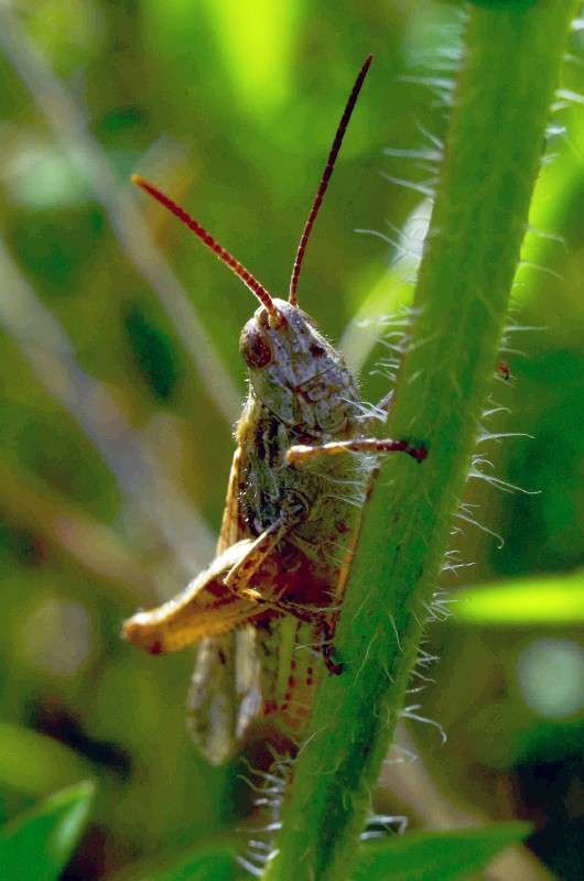 ... ����� ����� � �� PhotoGeek.ru #�����