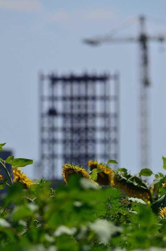 ... ����� ����� � �� PhotoGeek.ru #������ ��� �������