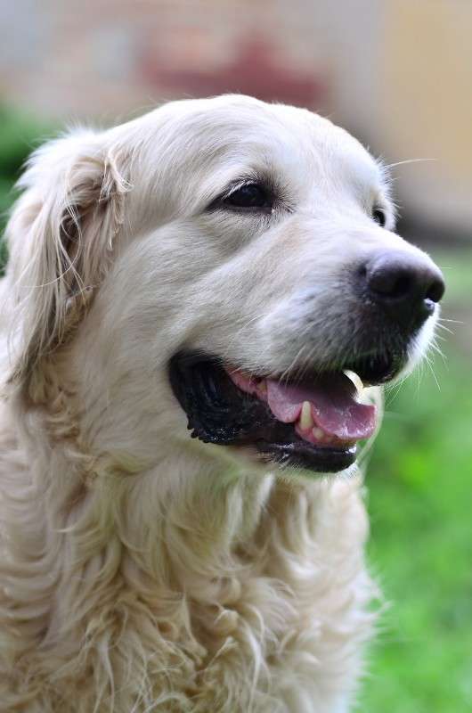 ����� ����� ����� � �� PhotoGeek.ru #�������� ���