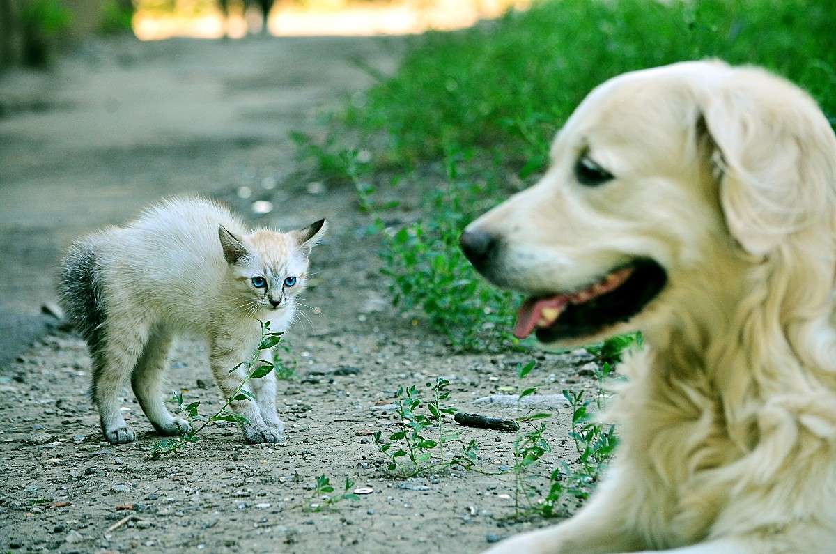 ... ����� ����� � �� PhotoGeek.ru #�������� ���