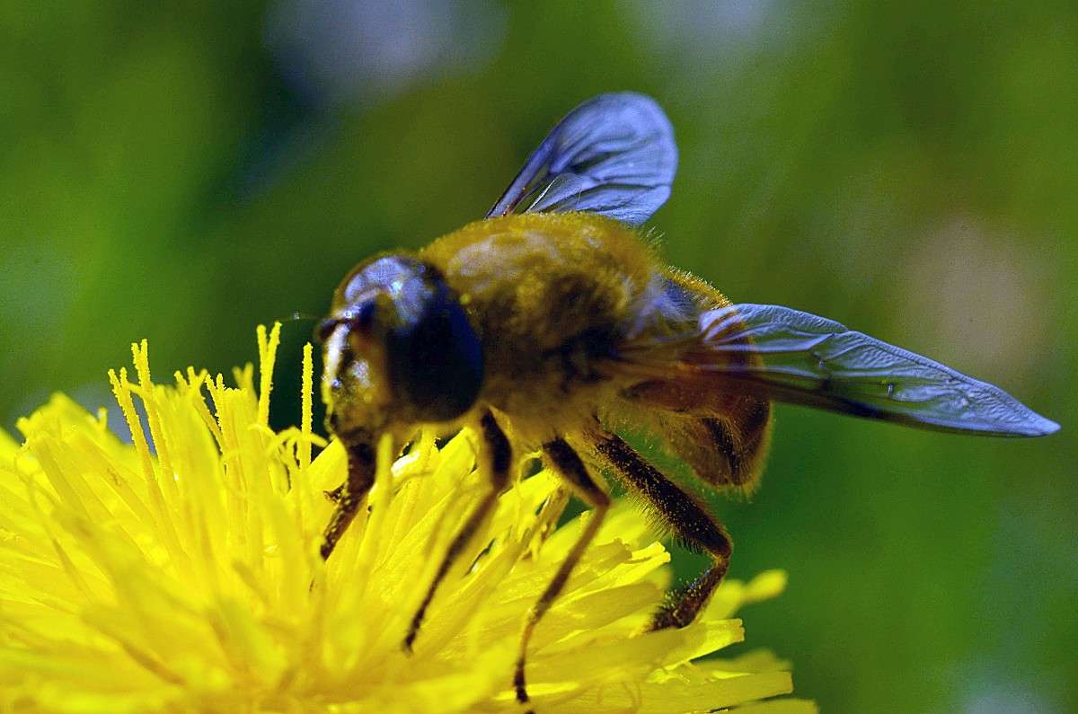 ... ����� ����� � �� PhotoGeek.ru #�����