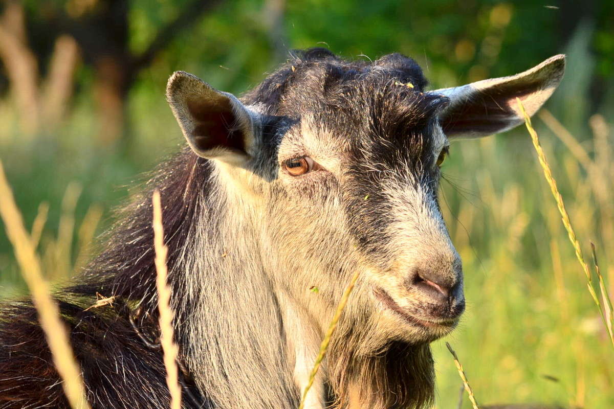 ... ����� ����� � �� PhotoGeek.ru #�������� ���