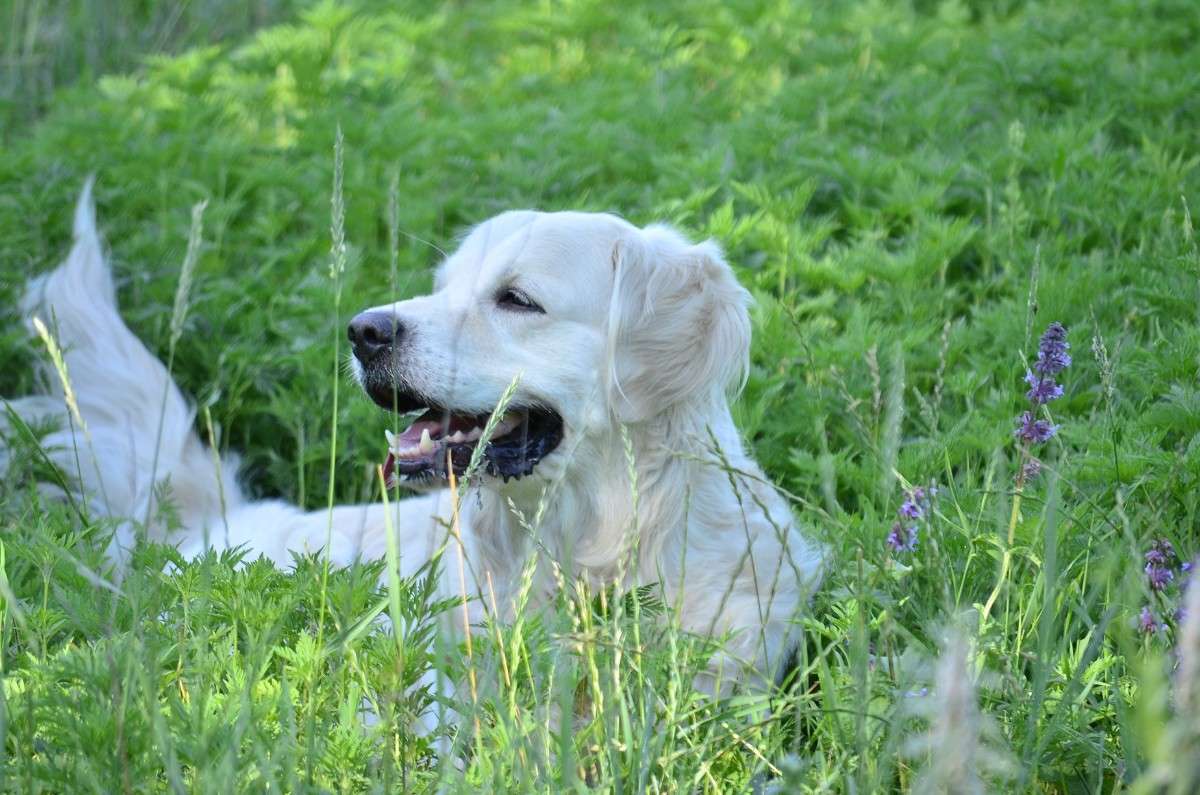 ... ����� ����� � �� PhotoGeek.ru #�������� ���