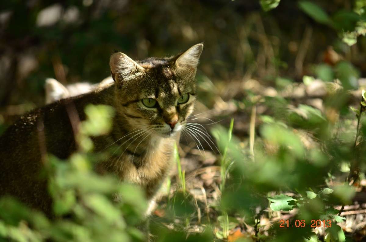 ... ����� ����� � �� PhotoGeek.ru #�������� ���