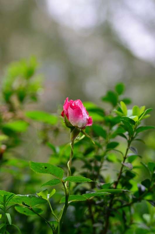 ... ����� ����� � �� PhotoGeek.ru #������ ��� �������