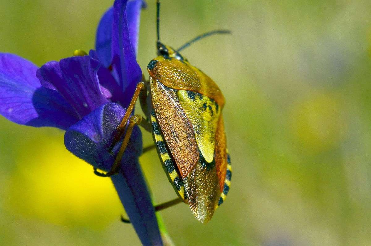 ... ����� ����� � �� PhotoGeek.ru #�����