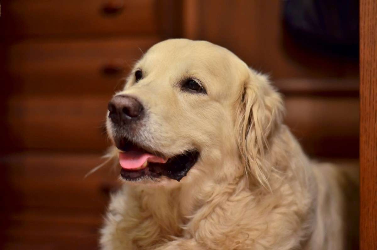 ... ����� ����� � �� PhotoGeek.ru #�������� ���