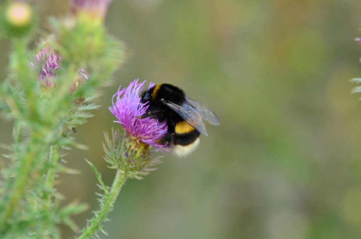 ... ����� ����� � �� PhotoGeek.ru #�����