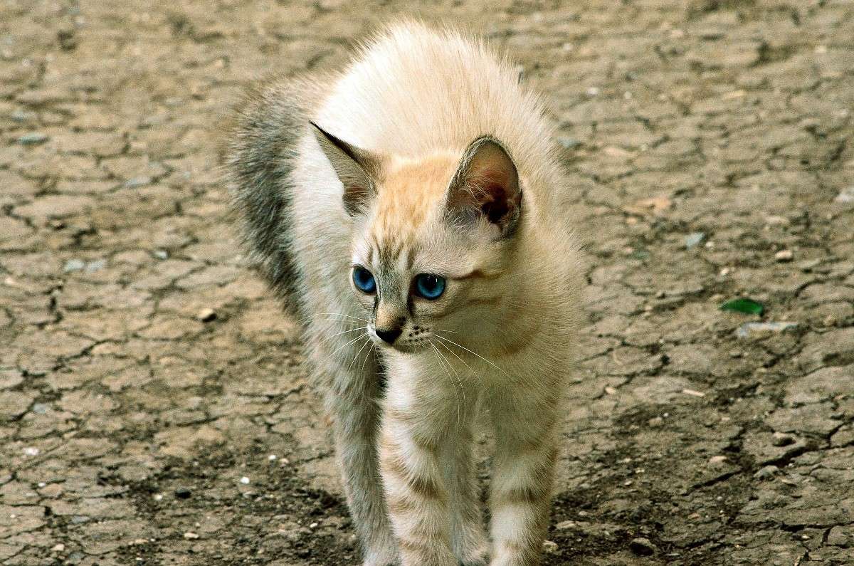 ... ����� ����� � �� PhotoGeek.ru #�������� ���