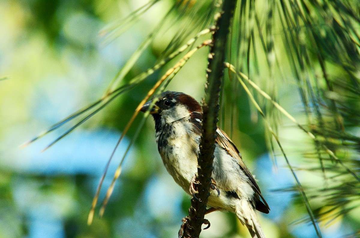 ... ����� ����� � �� PhotoGeek.ru #�������� ���