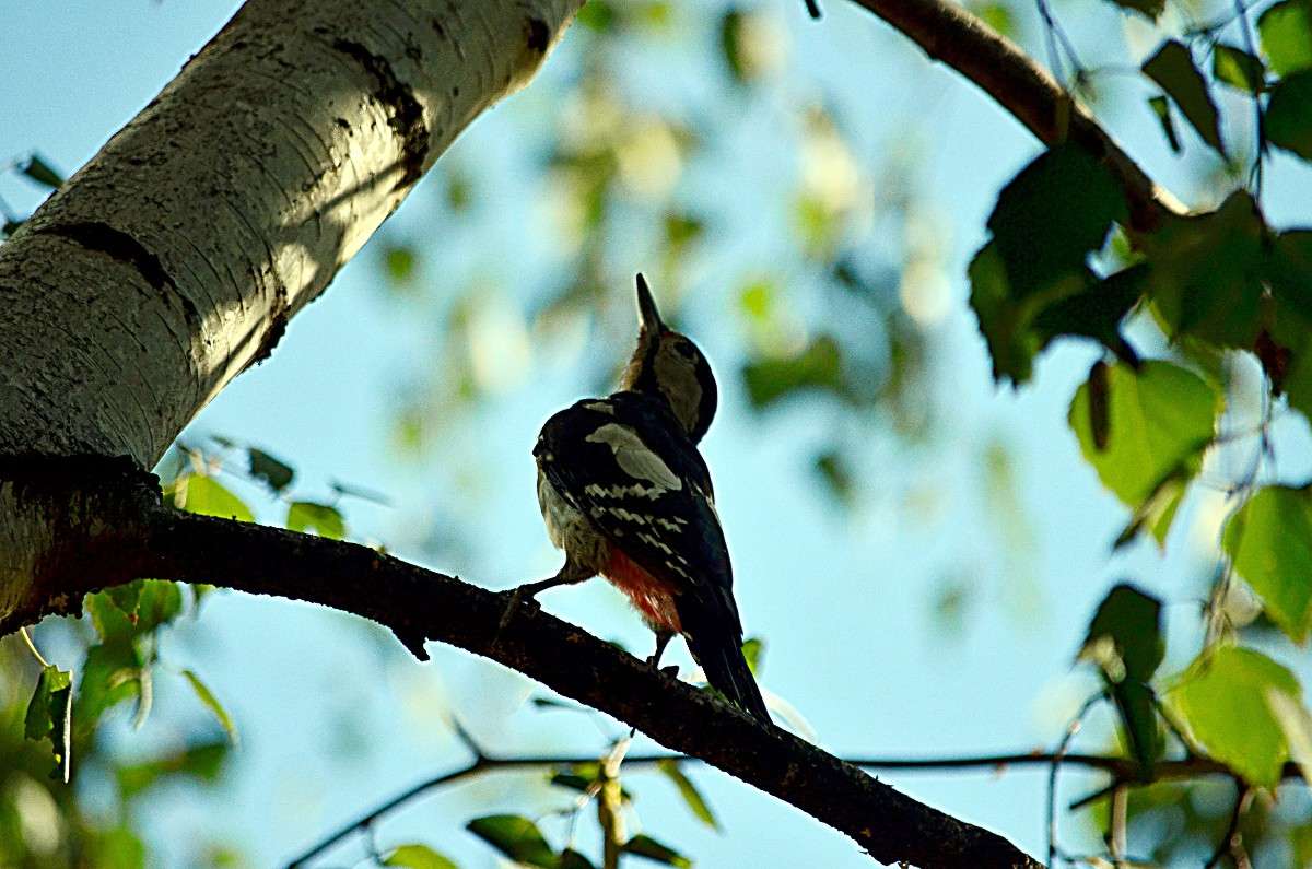 ���� ��� ����� ����� ����� � �� PhotoGeek.ru #�������� ���