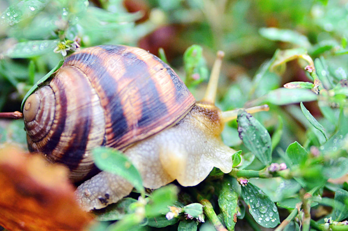 ... ����� ����� � �� PhotoGeek.ru #�����