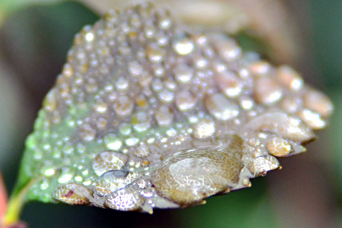 ... ����� ����� � �� PhotoGeek.ru #�����