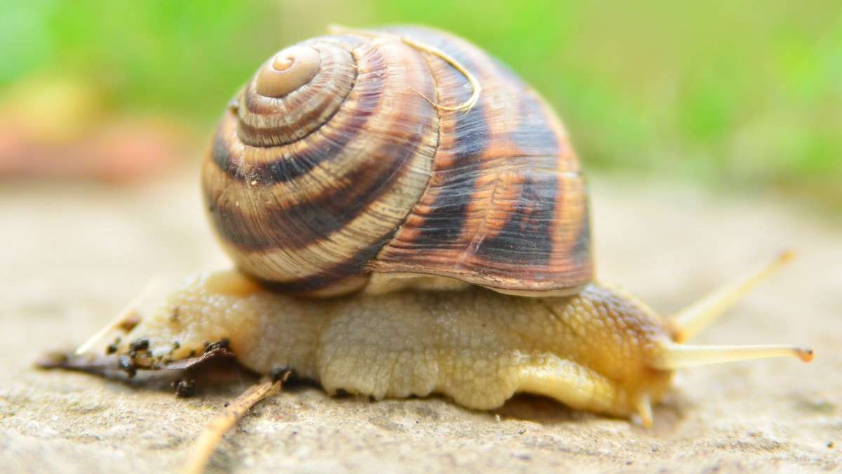 ... ����� ����� � �� PhotoGeek.ru #�����