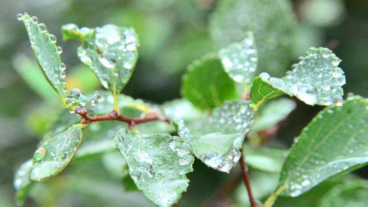 ... ����� ����� � �� PhotoGeek.ru #�����