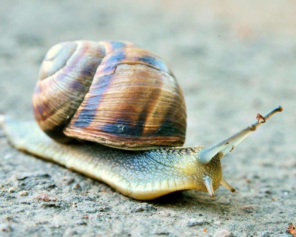 ... ����� ����� � �� PhotoGeek.ru #�����