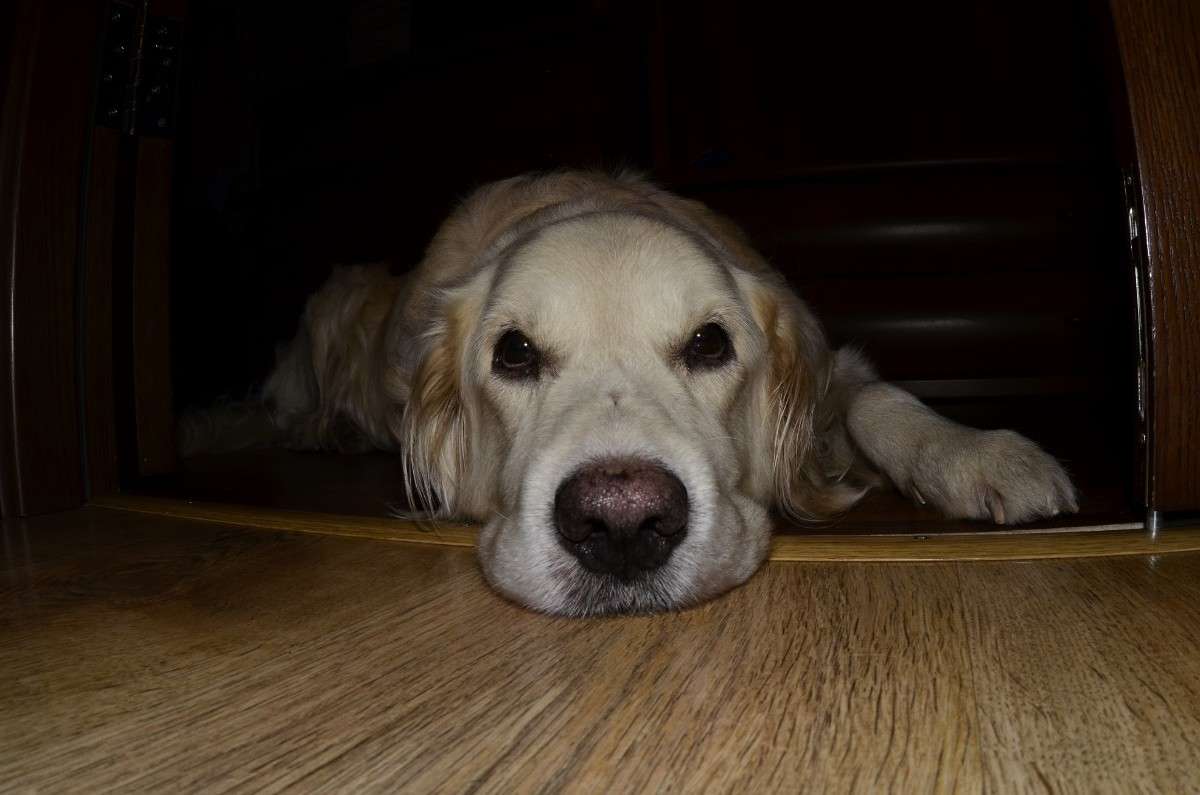 ����� ����� ����� � �� PhotoGeek.ru #�������� ���