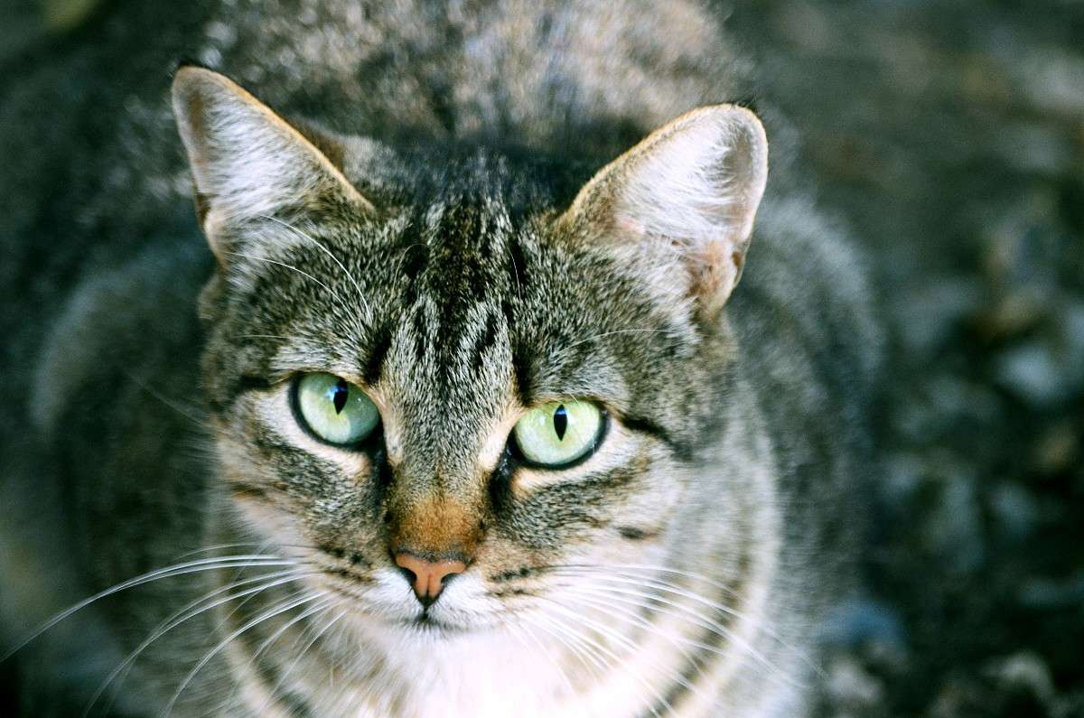 ... ����� ����� � �� PhotoGeek.ru #�������� ���