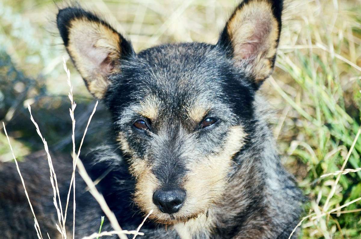 ���� ����� ����� � �� PhotoGeek.ru #�������� ���