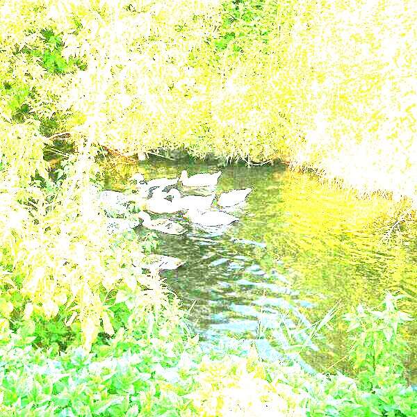 ���� �����   �� PhotoGeek.ru #�������� ��� #�������� ���