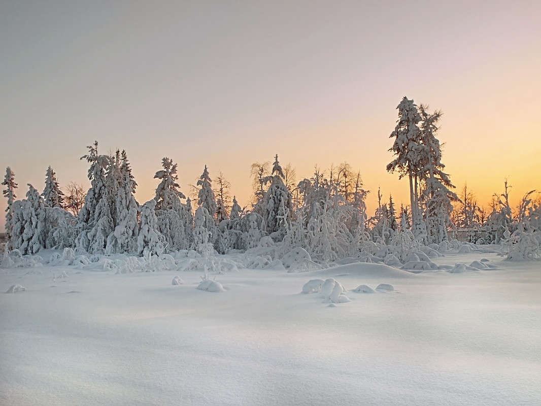 ���� ����� �����  �� PhotoGeek.ru #������ ��� ������� #����� �������������� #���������