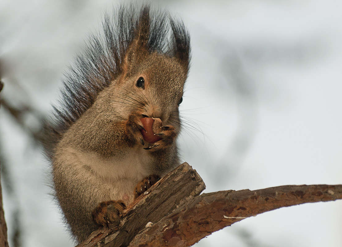 ����� ����� �����  �� PhotoGeek.ru #�������� ��� #����� ��� ��� ���������