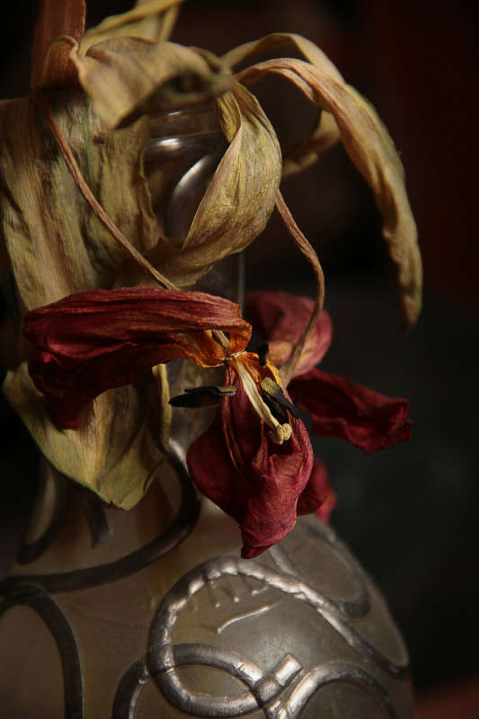 После дня 8 марта... автор Татьяна Мурзенко на PhotoGeek.ru #Натюрморт #Букет #В вазе #Засохший #Красные #Лепестки #Сухие листы #Тюльпаны #Цветы
