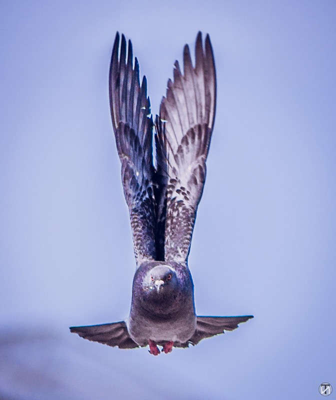 ������ ����� Ivan Tarasov �� PhotoGeek.ru #�������� ��� #����� ��� ��� ���������