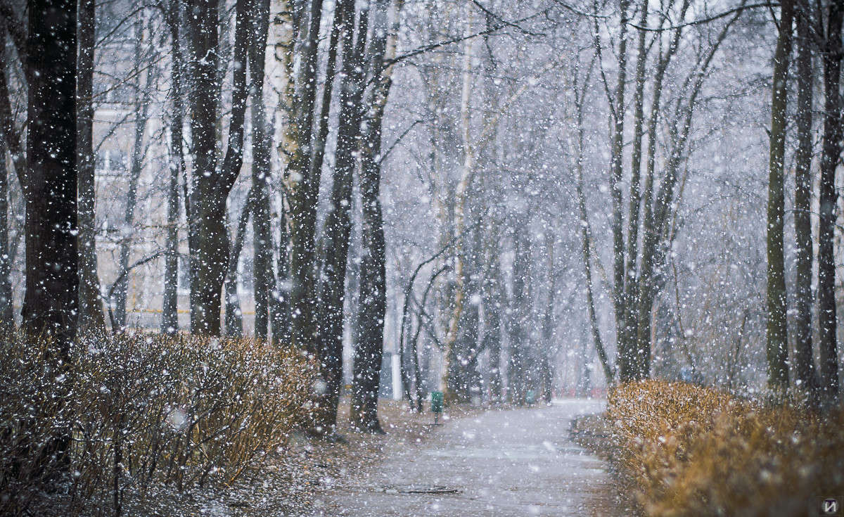 ���������� ���� ����� Ivan Tarasov �� PhotoGeek.ru #����� #������ ��� ������� #��������� ������