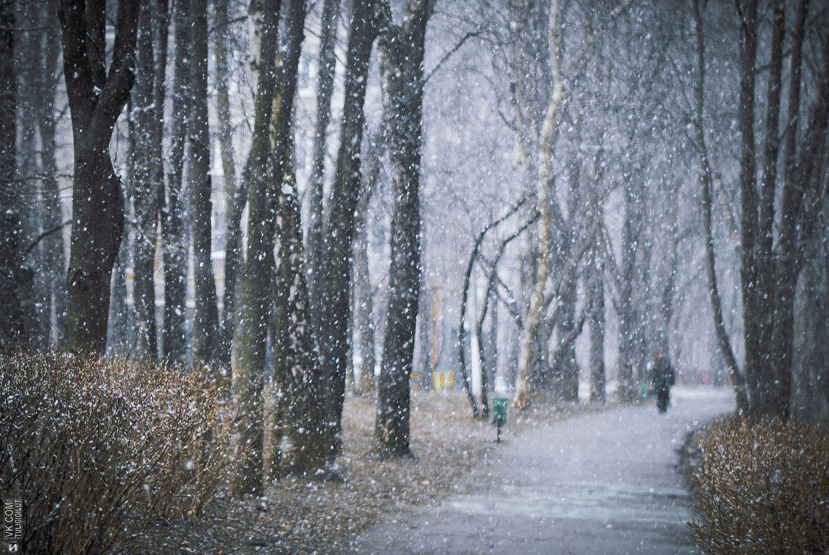 ���� ����� Ivan Tarasov �� PhotoGeek.ru #����� #������ ��� ������� #��������� ������