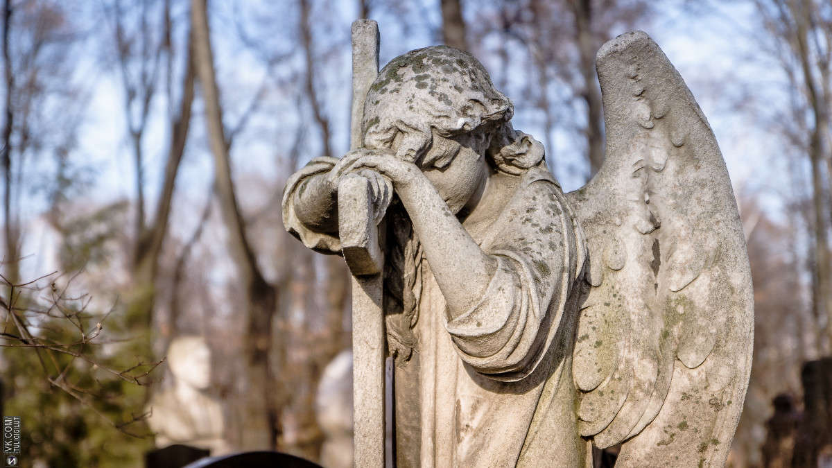 ���������� �������� ����� Ivan Tarasov �� PhotoGeek.ru #����� #�����������