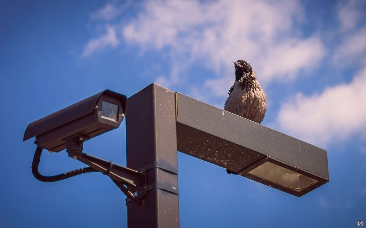 ������ ����� Ivan Tarasov �� PhotoGeek.ru #�������� ��� #����� ��� ��� ���������