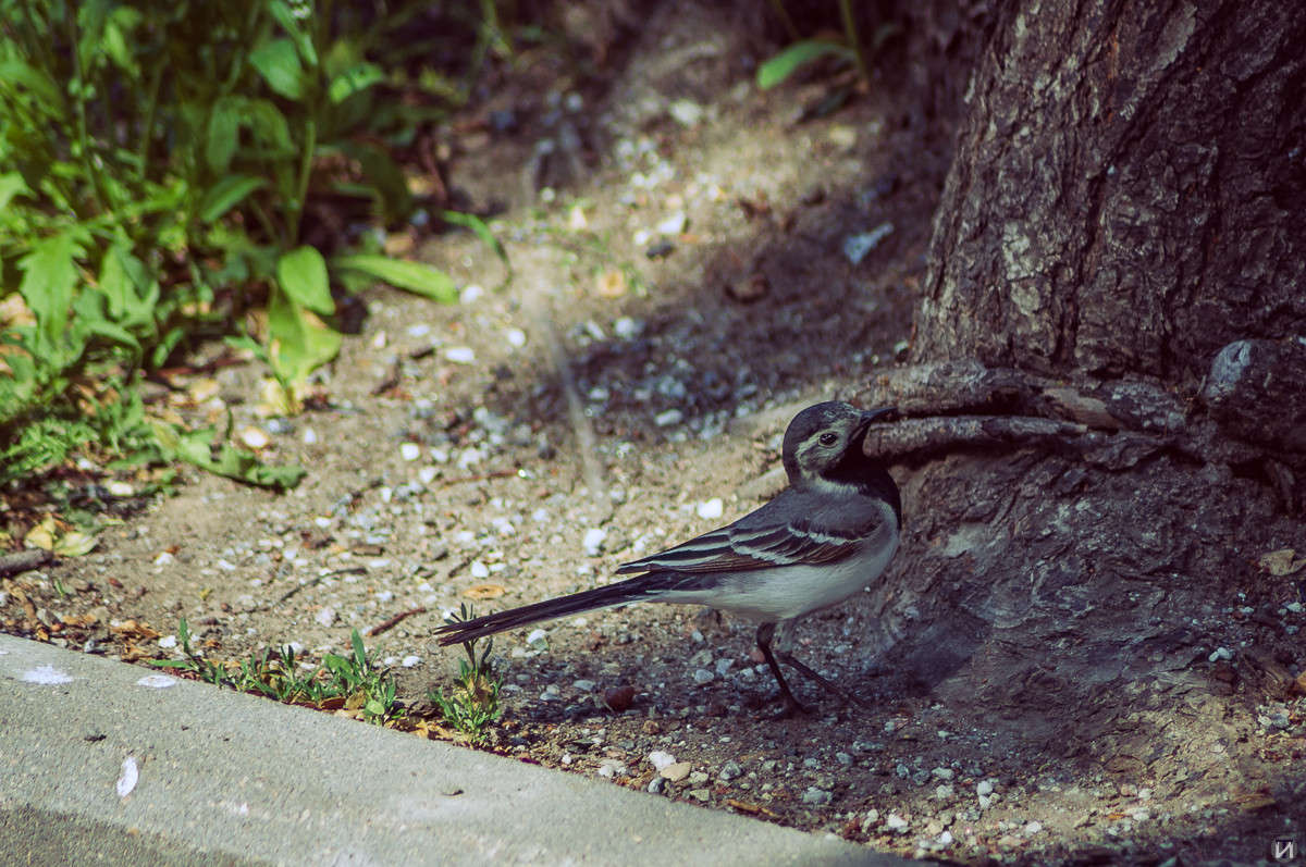���������� ����� Ivan Tarasov �� PhotoGeek.ru #�������� ��� #����� ��� ��� ���������
