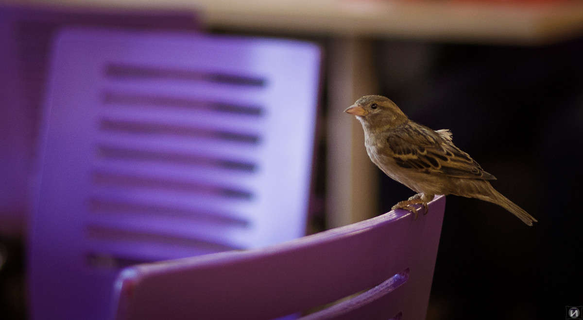 ������� ����� Ivan Tarasov �� PhotoGeek.ru #�������� ��� #����� ��� ��� ���������