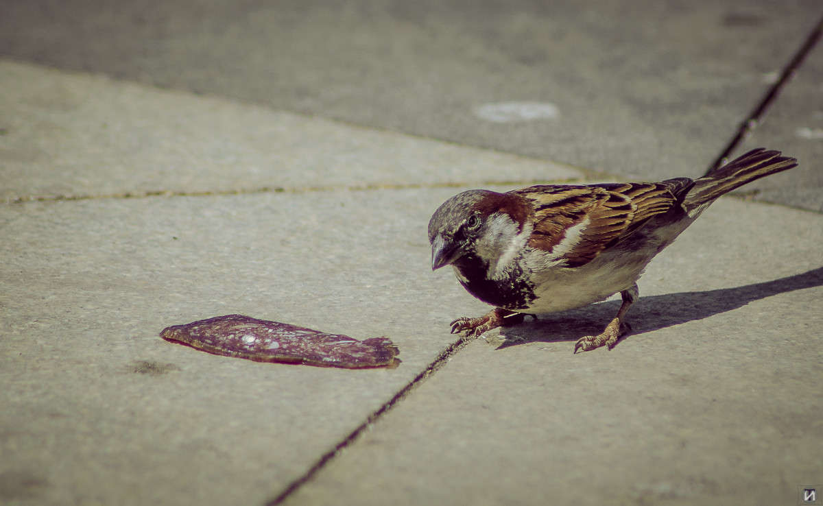 ������� ����� Ivan Tarasov �� PhotoGeek.ru #�������� ��� #����� ��� ��� ���������