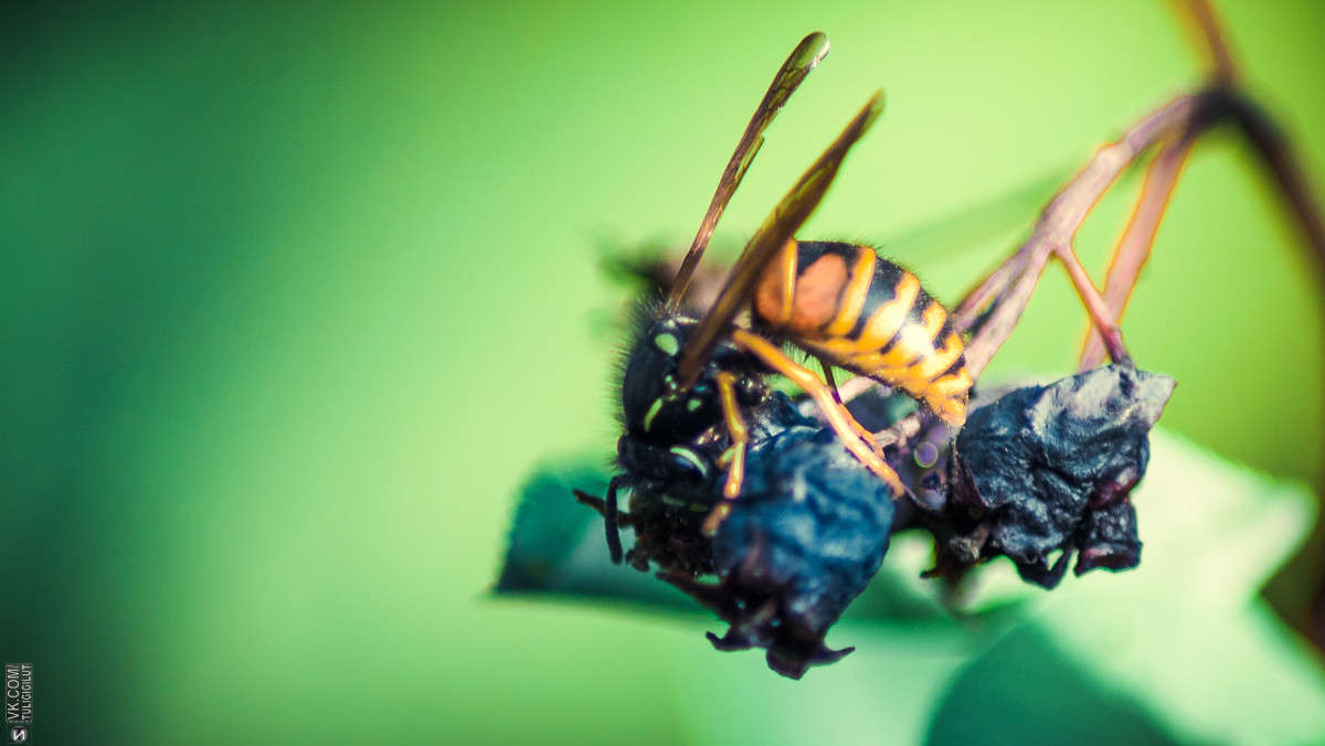 ... ����� Ivan Tarasov �� PhotoGeek.ru #����� #�������� ��� #����� ��� ��� ��������� #���������