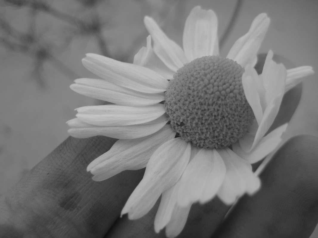 ... ����� �������  �� PhotoGeek.ru #����� #������ ��� ������� #�����-�����