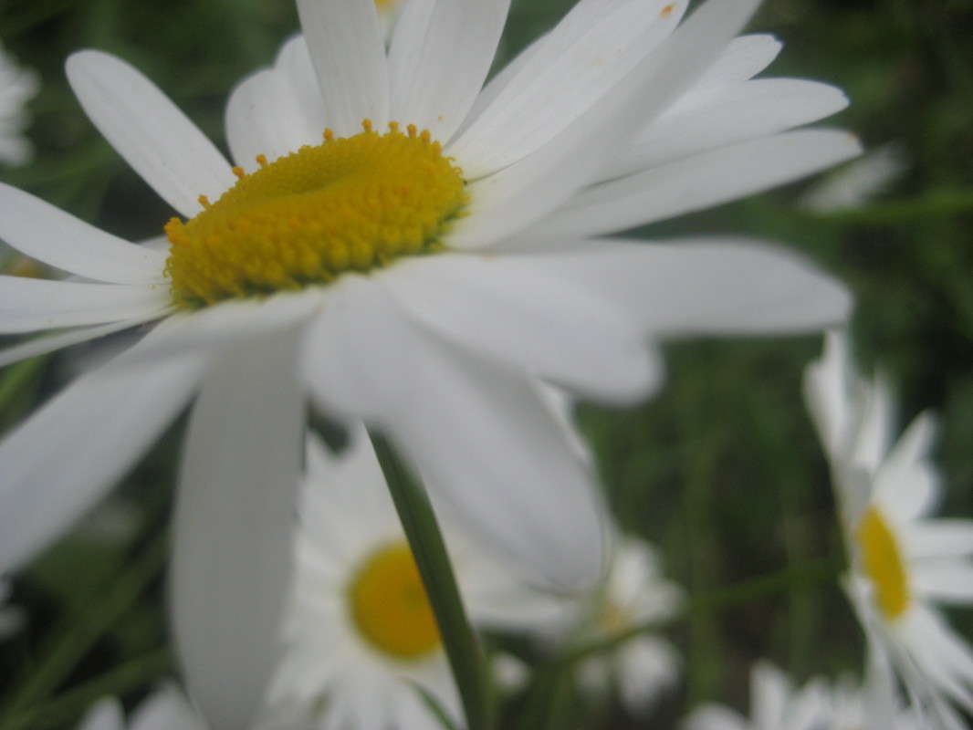 ... ����� �������  �� PhotoGeek.ru #����� #������ ��� �������