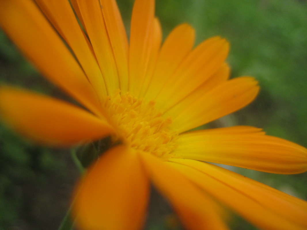 ... ����� �������  �� PhotoGeek.ru #����� #������ ��� �������