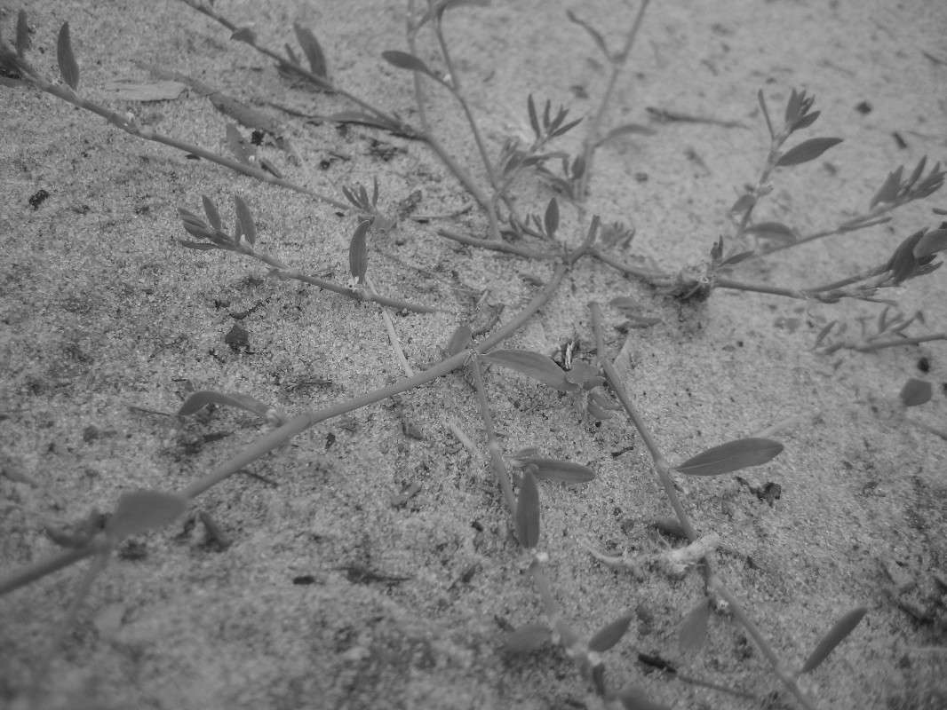 ... ����� �������  �� PhotoGeek.ru #����� #������ ��� ������� #�����-�����