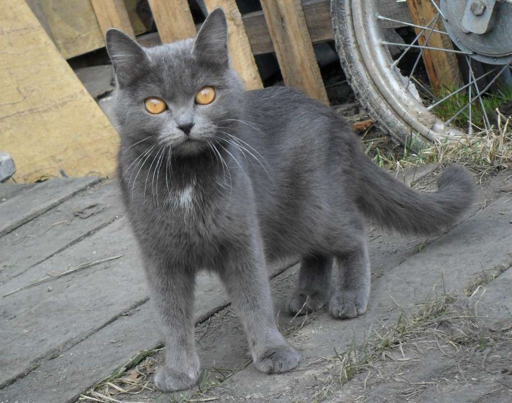 ... ����� �������  �� PhotoGeek.ru #�������� ��� #�������� ���